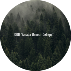 Альфа Инвест Сибирь