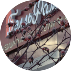 Медицинский Центр БэлльФамм