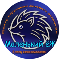 Центр коррекции детского развития Маленький ёж