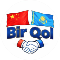 Birqol Group