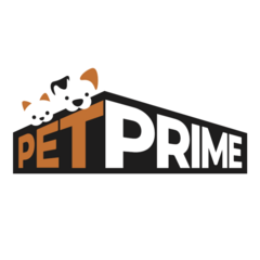 Болотин Михаил Маркович