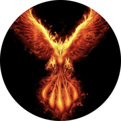 Холодов Евгений