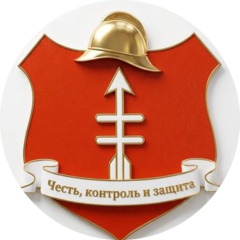Аргус Сервис