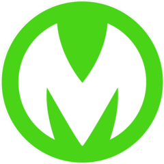 МАЙСТРИМ