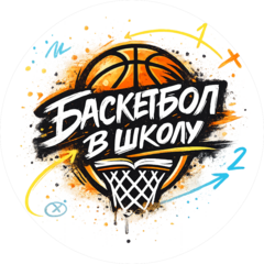 Баскетбол в школу