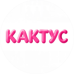 Шоурум Кактус
