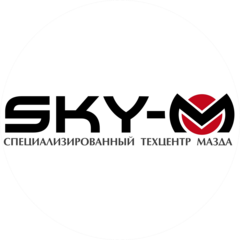 СкайЭктивМоторс