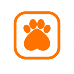 Balloony.pet