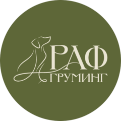 Раф груминг