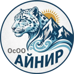 ОсОО Айнир