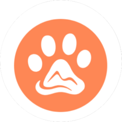 BigFoot