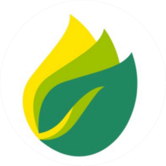 Pro Oil Service