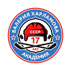 Автономная Некоммерческая организация Дополнительного Образования Спортивная Школа Академия Хоккея Имени В.Б. Харламова