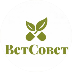 Ветсовет