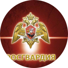 3 рота 1 батальона полиции УВО по г. Самаре