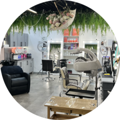 Katrin Studio