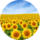 ��� �������