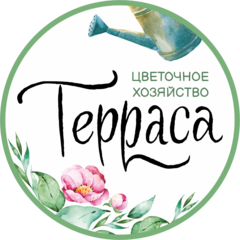 Терраса