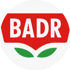 Бадр
