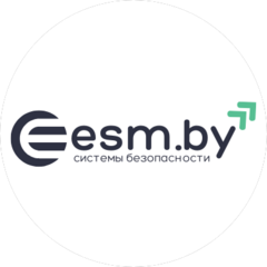 Электронные Системы Мониторинга