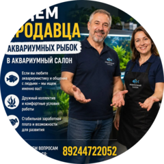 Зоогрупп