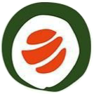 Кириллова Ксения Петровна