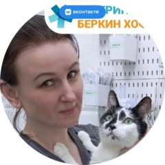 ВЦ Беркин Хофф