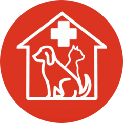 NBS VET SERVICE
