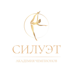 Силуэт Академия Чемпионов