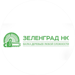 Зеленград нк