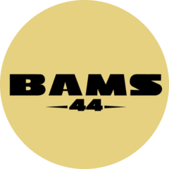 БАМС