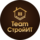 TeamСтройИТ