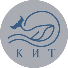 Акула