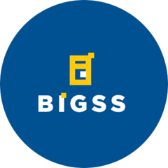 Big Security Solutions