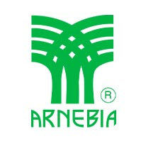 Арнебия