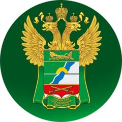 Сибирская оперативная таможня