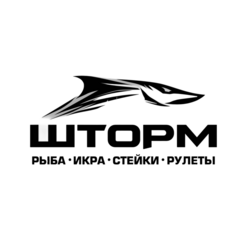 ШТОРМ