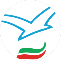 РОО ФТСБАРР РТ