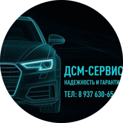 DSM-Servise