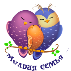 Центр интеллектуального развития детей Мудрая семья