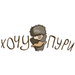 Пури
