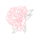 Lumi Flowers