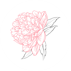 Lumi Flowers