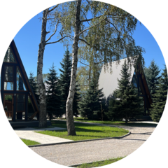 Токаев Георгий Олегович