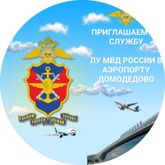 Линейное управление МВД России в аэропорту Домодедово