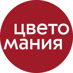 Гала-Солнце