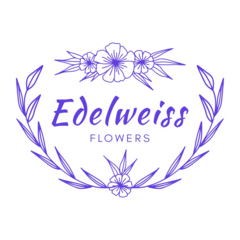 Edelweiss flowers