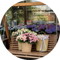 Flower Lab Penza