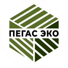 Пегас Эко