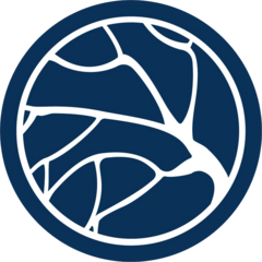Центр Инновационной Флебологии